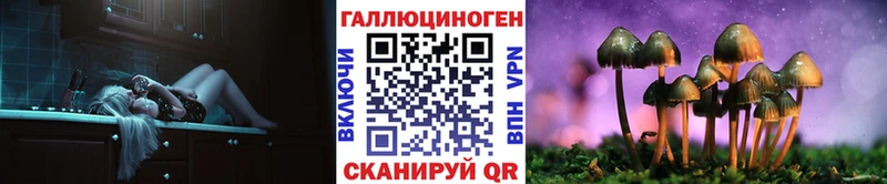 Галлюциногенные грибы GOLDEN TEACHER  Новый Оскол 